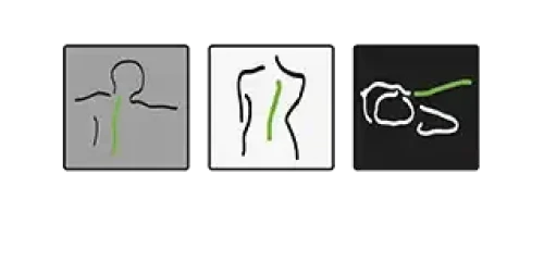 Chiropractie-De-Koning-320x177